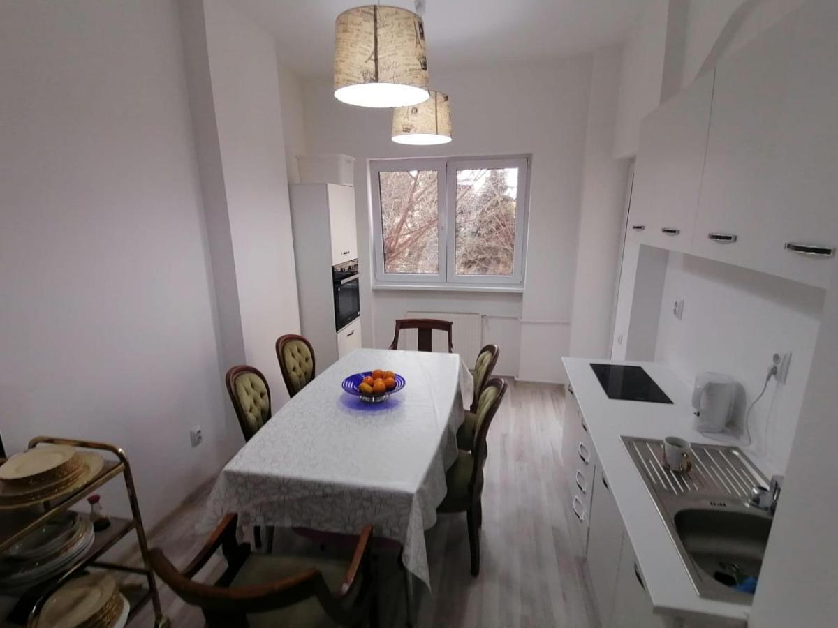 Central Appartment - Heart Of Bucharest - Sector 1 - New Renovated - Open Space Ngoại thất bức ảnh