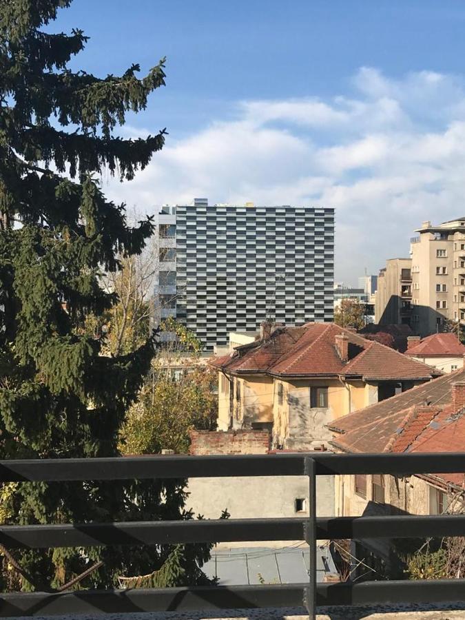 Central Appartment - Heart Of Bucharest - Sector 1 - New Renovated - Open Space Ngoại thất bức ảnh